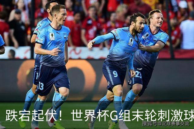 跌宕起伏！世界杯G组末轮刺激球迷心脏 伊朗狂喜过后遭打击